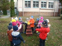 obrázek z fotogalerie