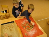 obrázek z fotogalerie