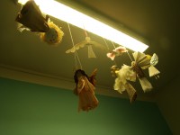 obrázek z fotogalerie