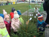 obrázek z fotogalerie