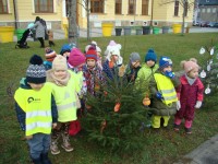 obrázek z fotogalerie