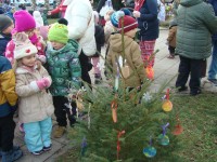 obrázek z fotogalerie