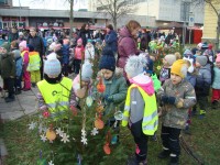 obrázek z fotogalerie