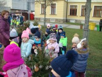 obrázek z fotogalerie