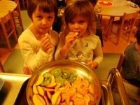 obrázek z fotogalerie