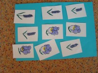 obrázek z fotogalerie