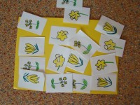 obrázek z fotogalerie