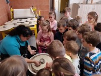 obrázek z fotogalerie