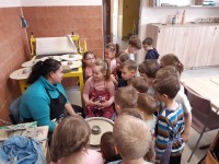 obrázek z fotogalerie