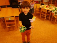 obrázek z fotogalerie