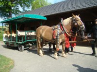 obrázek z fotogalerie