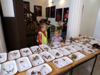 obrázek z fotogalerie